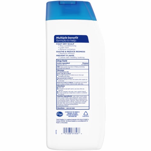 Kroger® Dry Scalp 2 in 1 Dandruff Shampoo Plus Conditioner Perspective: back