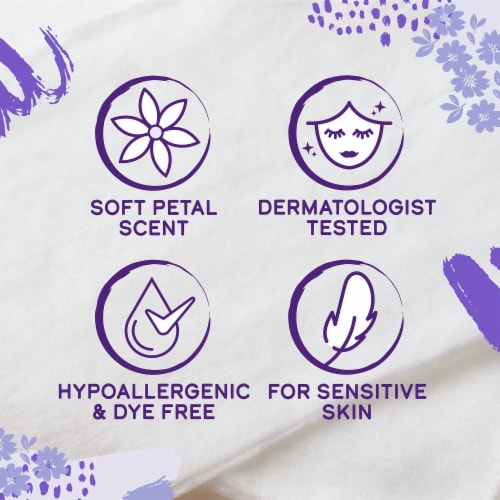 Kroger® Soft Petal Scent Feminine Wash Perspective: back