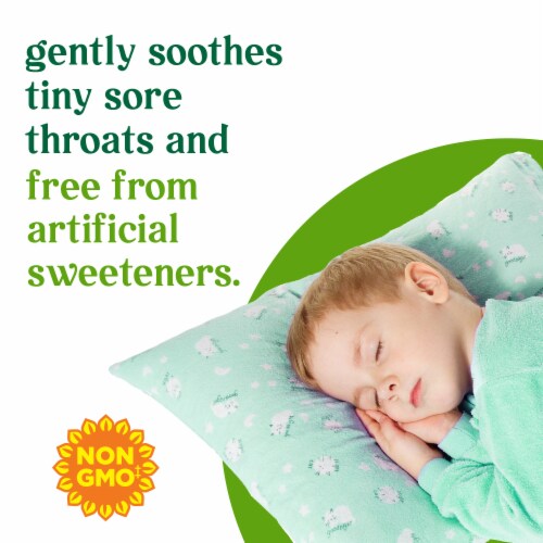 Simple Truth™ Children's Grape Nighttime Cough and Mucus Relief Syrup Perspective: back