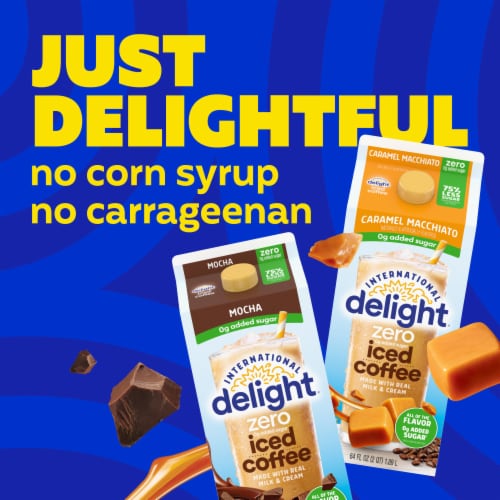 International Delight® Less Sugar Mocha Light Iced Coffee Carton Perspective: back