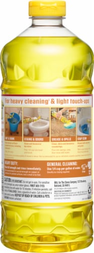 Pine-Sol Multi-Surface Cleaner & Deodorizer Perspective: back