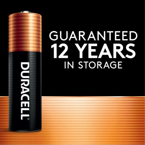 Duracell® Power Boost™ AAA Batteries - 8 Pack Perspective: back