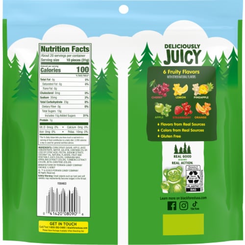 Black Forest Gummy Fruit Flavor Bears Resealable Bag Perspective: back