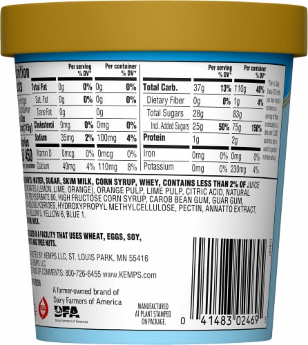Kemps® Rainbow Sherbet Pint Perspective: back