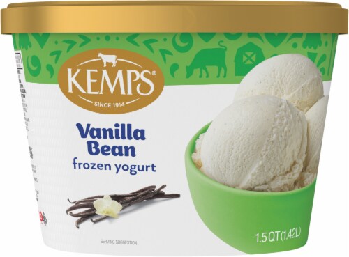 Kemps® Vanilla Bean Frozen Yogurt Tub Perspective: back