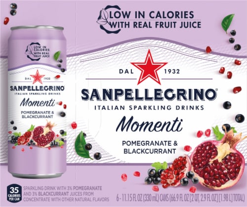 S. Pellegrino Momenti Pomegranate & Blackcurrant Italian Sparkling Drink Perspective: back