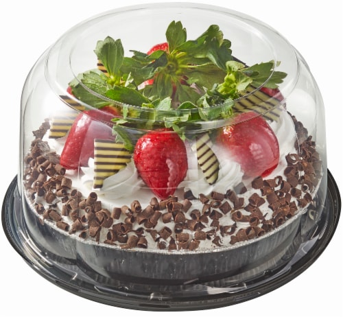 Tres Leche Double Layer Cake Topped with Fruit Perspective: back