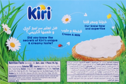 Kiri® Family Size Spreadable Cheese Wedge Perspective: back
