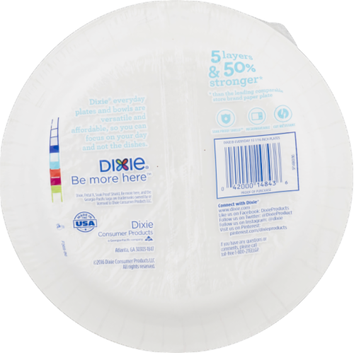 Dixie Everyday 10" Paper Plates Perspective: back