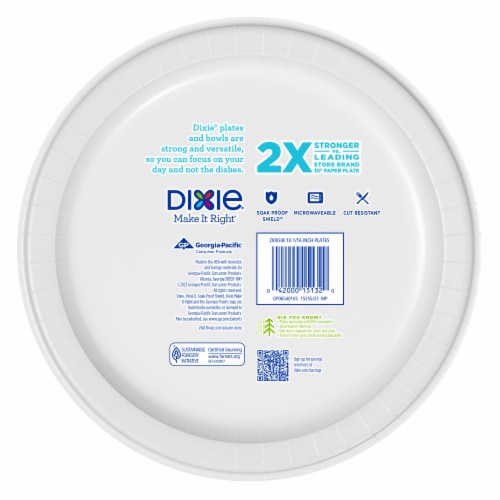 Dixie Paisley Splash Plates Perspective: back