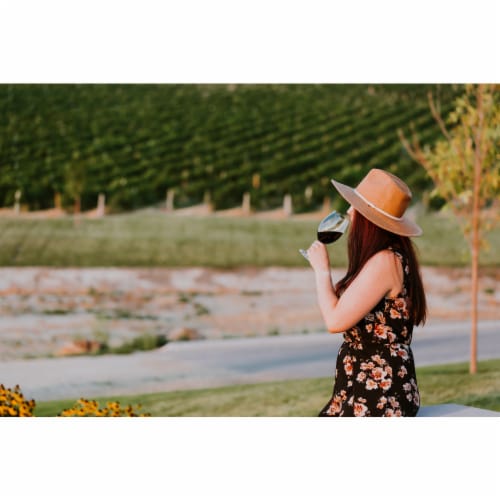 Ste. Chapelle Soft White Chateau Series Blend Wine Perspective: back