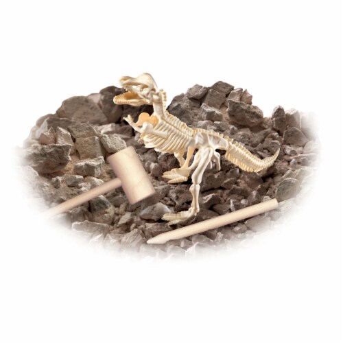 NSI International Smithsonian® Diggin' Up Dinos™ T Rex Perspective: back