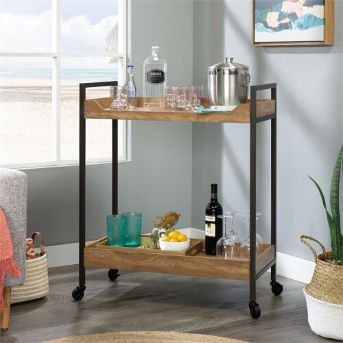 Sauder North Avenue Engineered Wood/Metal Bar Cart in Sindoori Mango Perspective: back