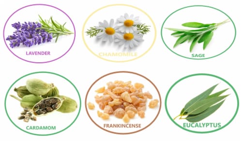Renewgoo Essential Oil 6-Pack Set for Diffusers, Humidifier, Aroma therapy Oils Perspective: back