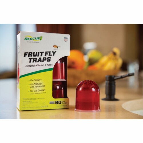 Rescue Reusable Fruit Fly Trap (2-Pack) FFTR2-SF5 Perspective: back