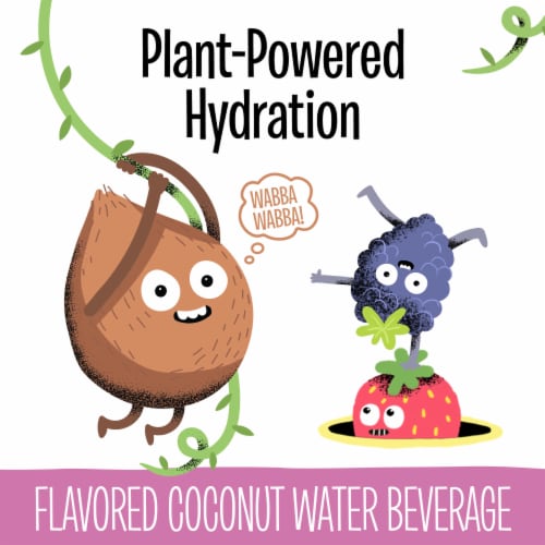 Creative Roots Mixed BerryCoconut Water Kids Drink Perspective: back