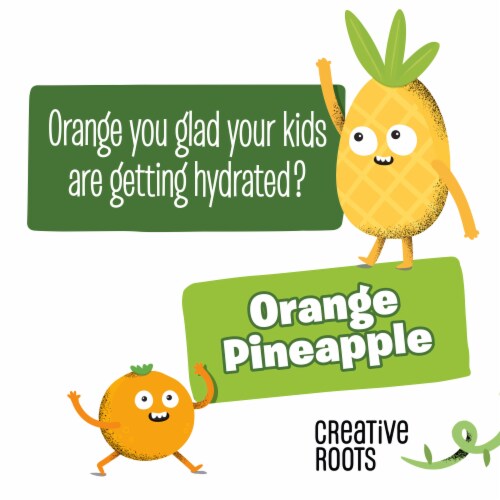 Creative Roots Orange Pineapple Coconut Water Kids Drink, 4 ct - Foods Co.
