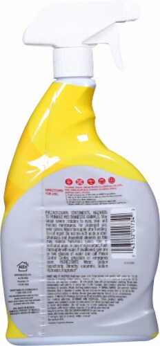 Cloralen® Fresh Scent Multipurpose Cleaner with Bleach Perspective: back