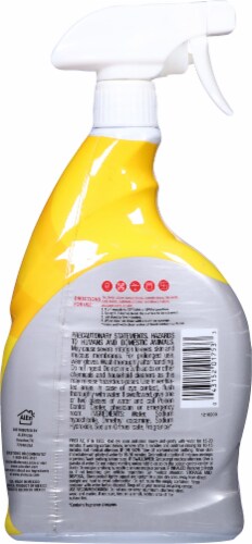 Cloralen Fresh Scent Multipurpose Cleaner with Bleach Perspective: back