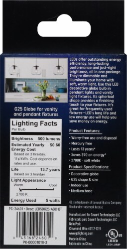GE 6.5-Watt (60-Watt) Decorative Globe Soft White LED G25 Light Bulb Perspective: back