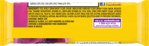 Newtons Fig Fruit Chewy Cookies Perspective: back