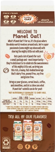 Planet Oat® Dairy Free Dark Chocolate Oat Milk Perspective: back