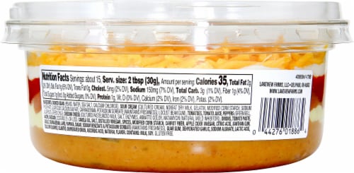 Rojo's® Mild 5 Layer Dip Perspective: back
