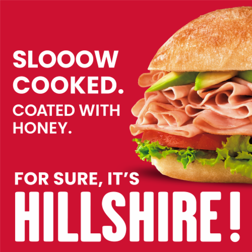 Hillshire Farm Ultra Thin Sliced Lower Sodium Honey Ham Sandwich Meat Perspective: back