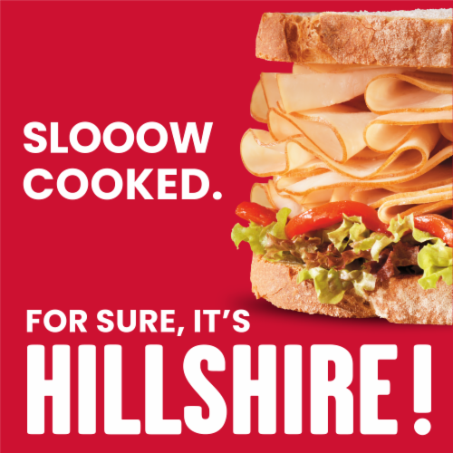 Hillshire Farm Ultra Thin Sliced Rotisserie Seasoned Chicken Breast Sandwich Meat Perspective: back