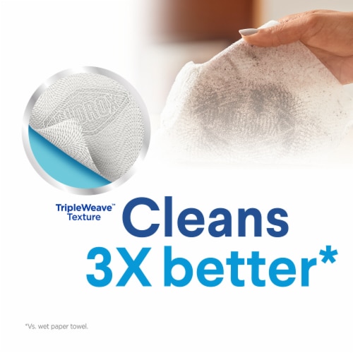 Clorox Fresh Scent Disinfecting Wipes Perspective: back