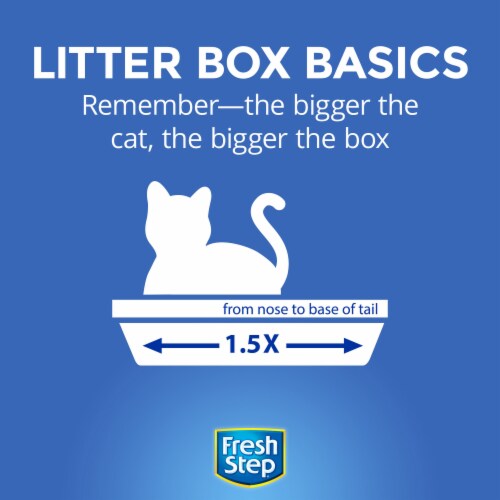 Fresh Step Non-Clumping with Febreze Freshness Scented Premium Cat Litter Perspective: back