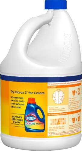 Clorox Lemon Fresh Scent Concentrated Bleach Perspective: back