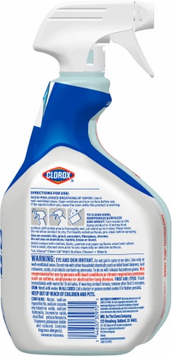 Clorox® Bathroom Stain-Fighting Bleach Gel Perspective: back