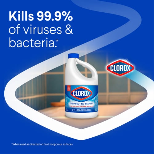 Clorox Disinfecting Bleach Perspective: back
