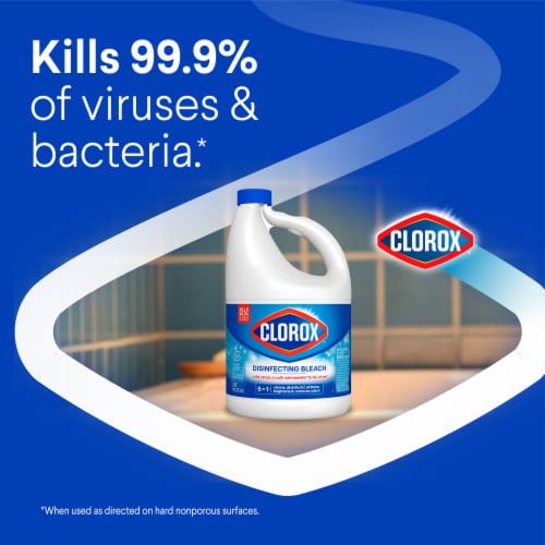 Clorox Disinfecting Bleach Perspective: back