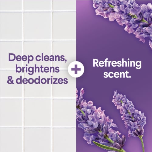Clorox Scentiva Lavender and Jasmine Scented Bleach Perspective: back