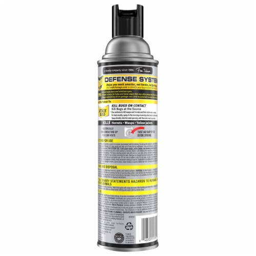 Raid Wasp & Hornet Insect Killer Perspective: back
