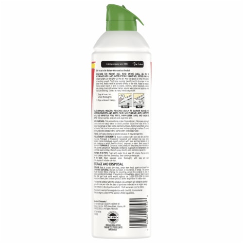 Raid® Essentials Ant and Roach Killer Aerosol Perspective: back