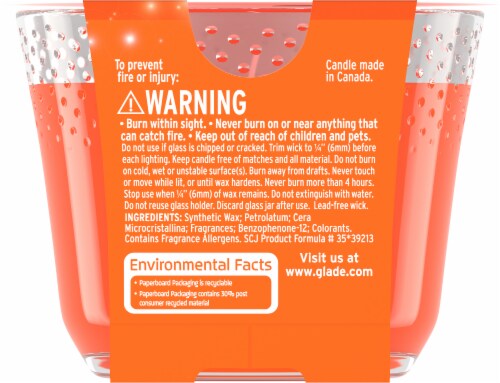 Glade® Pumpkin Spice Things Up 3 Wick Candle Perspective: back