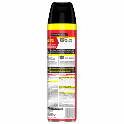 Raid Defend Ant & Roach Killer, Indoor Insecticide, Residual Killing Power, Outdoor Fresh Scent Perspective: back