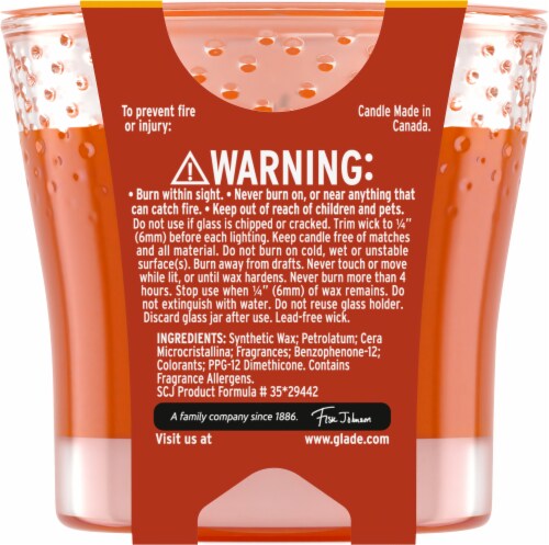 Glade® Limited Edition Golden Pumpkin & Spice Jar Candle Perspective: back
