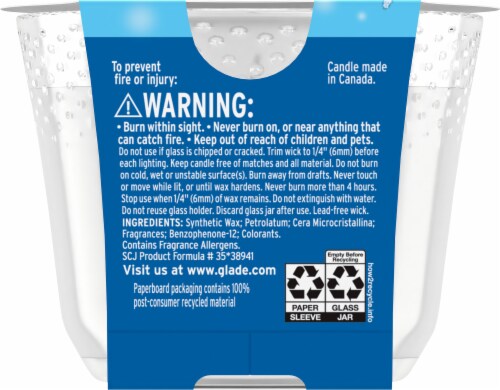SC Johnson Glade® Starlight & Snowflakes Automatic Spray Refill Perspective: back