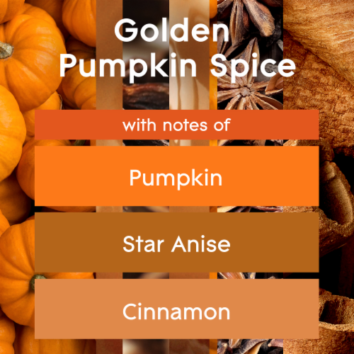 Glade Plug In Scented Oil Refills Limited Edition - Golden Pumpkin & Spice Perspective: back