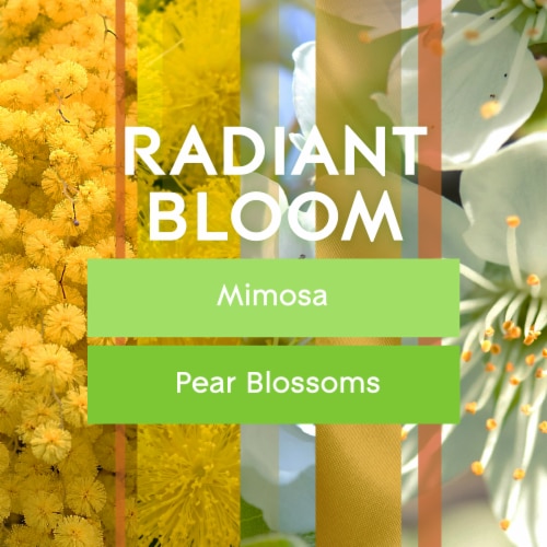 Glade Candles, Radiant Bloom Limited Edition Perspective: back