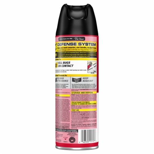 Raid® Fragrance Free Ant & Roach Killer Perspective: back