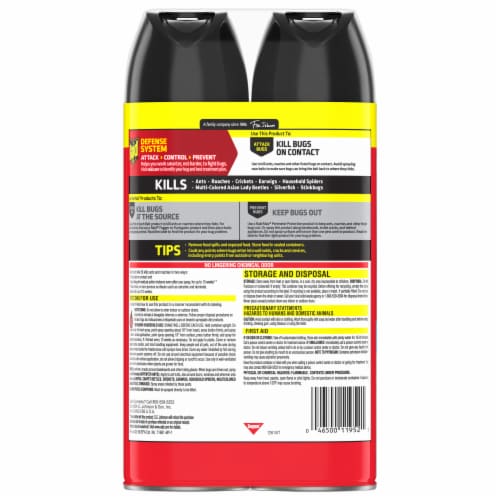 Raid® Outdoor Fresh Scent Ant & Roach Defense Spray Outdoor Bug Killer Spray Perspective: back