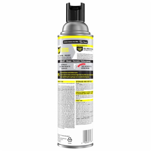 Raid Wasp & Hornet Killer, Outdoor Flying Insect Spray, 17.5 oz Perspective: back