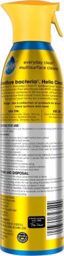 Pledge® Everyday Clean™ Multisurface Antibacterial Cleaner Fresh Citrus Aerosol Spray Perspective: back