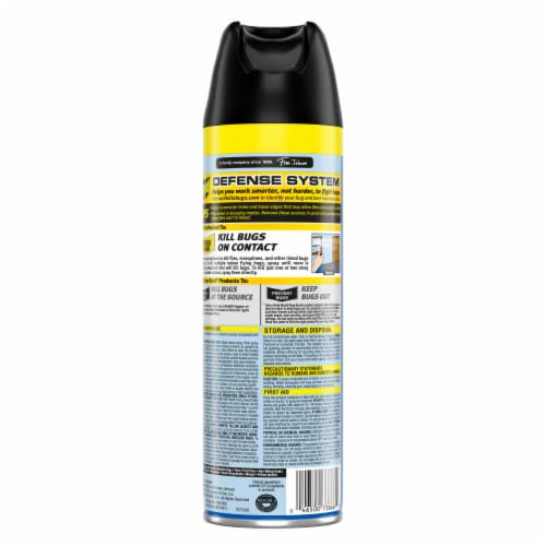 Raid Flying Insect Killer 7, Insecticide Spray, Outdoor Fresh Scent, 20 oz Perspective: back