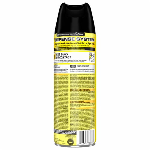 Raid Multi Insect Aerosol Spray